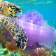 Illustration for article titled The Best Biology Photos Of 2014 Will Take You To Another World